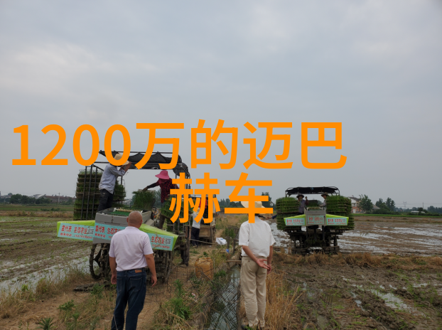地下城与西游记11神秘传说经典传奇重燃