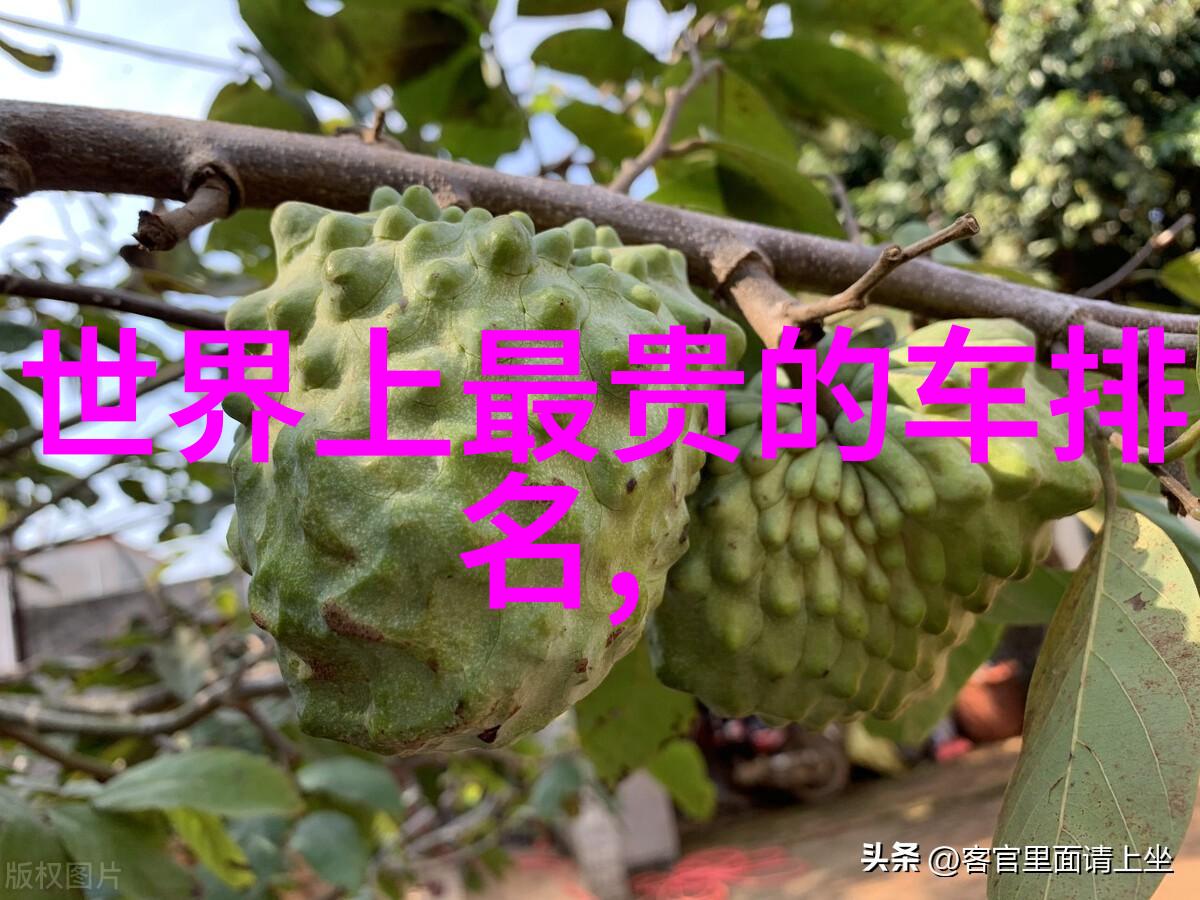美发基础教学视频剪发技巧与实操演示