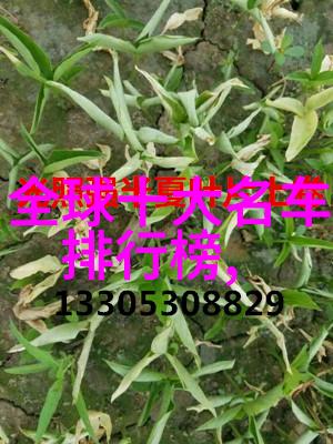 生活小记我在日本的2万日元大冒险