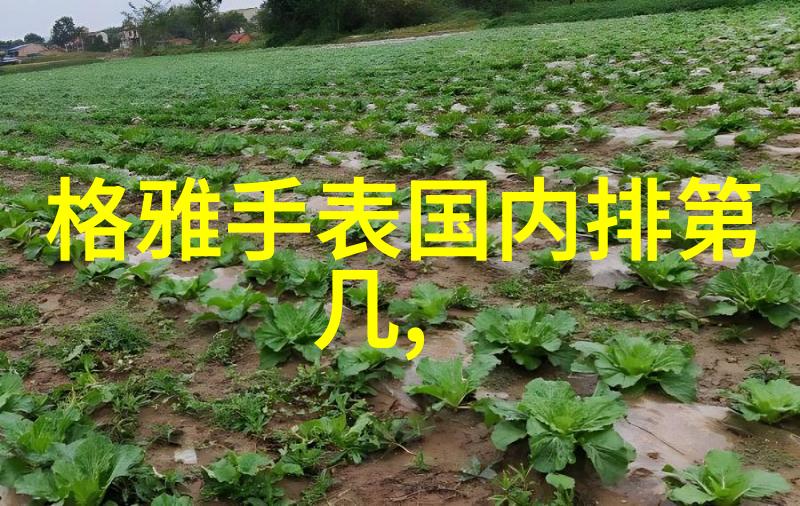 头发编织艺术自我美容的创意之旅