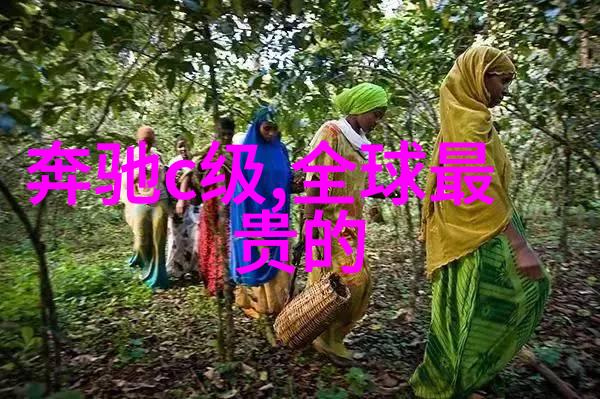 迎接夏季六月九日健康饮食建议总结