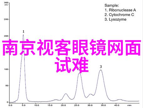风度非言语的魅力与尊贵之举