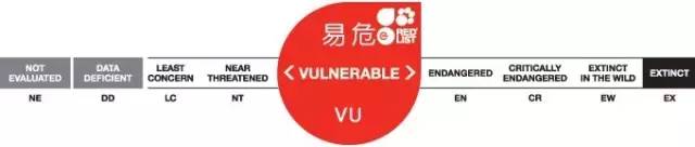 眼镜熊